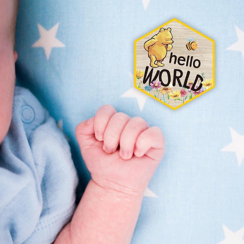 PAMBO The Winnie Baby Bear Month Milestone Circles, Wooden Discs Stuff for Baby Photo Takens with Hello World Name Signs - 7Pcs Double Sided Signs- Laser Engraving - Image 2